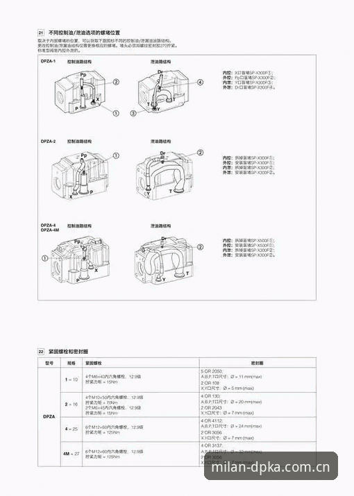 DPKA展区入口完整操作指南｜从下载到登录的避坑教程